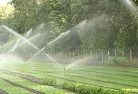 Meringolandscaping-water-management-and-drainage-17.jpg; ?>